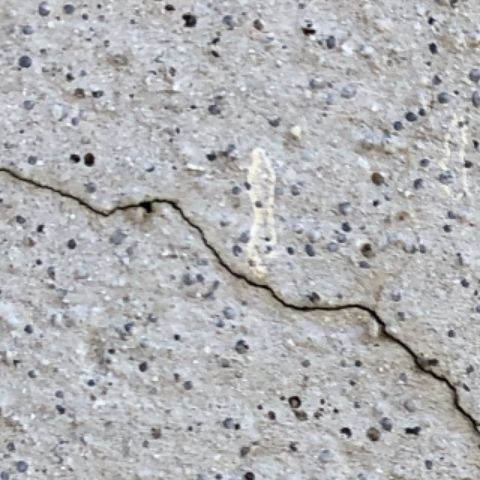 症状の画像