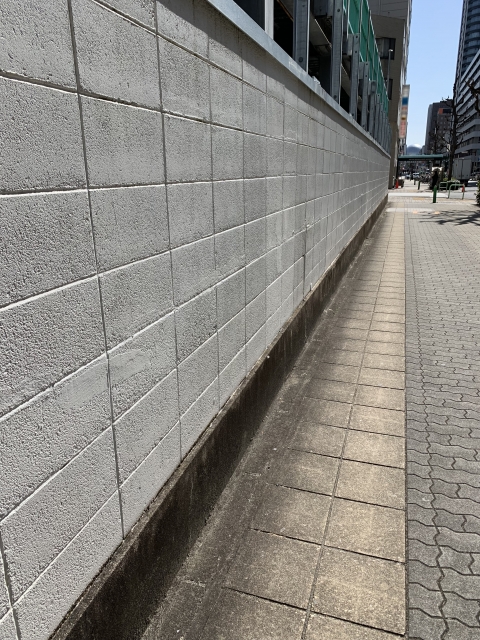症状の画像